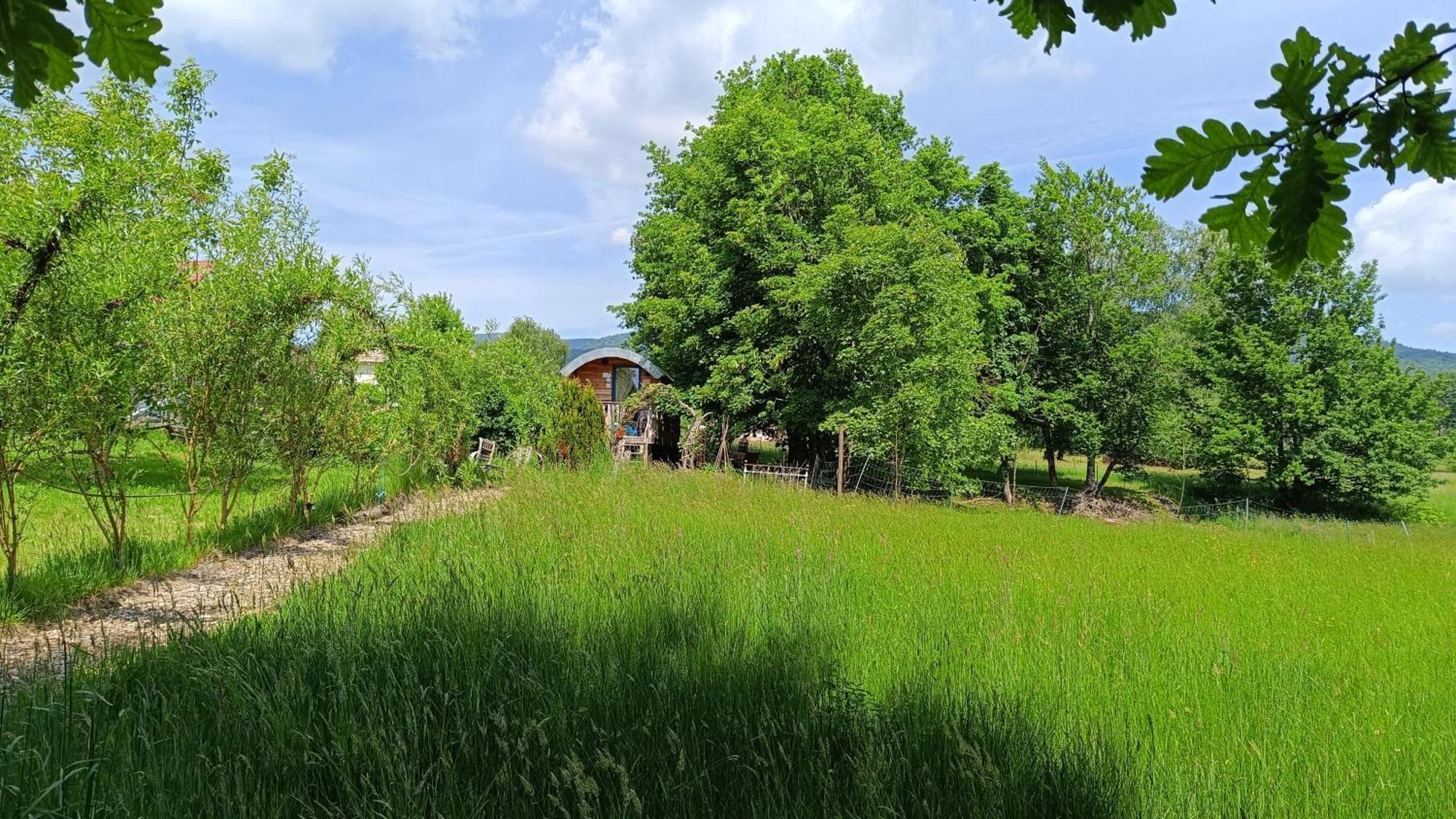 La Roulotte Tiny House Du Mond'Ideal Leval  Dış mekan fotoğraf